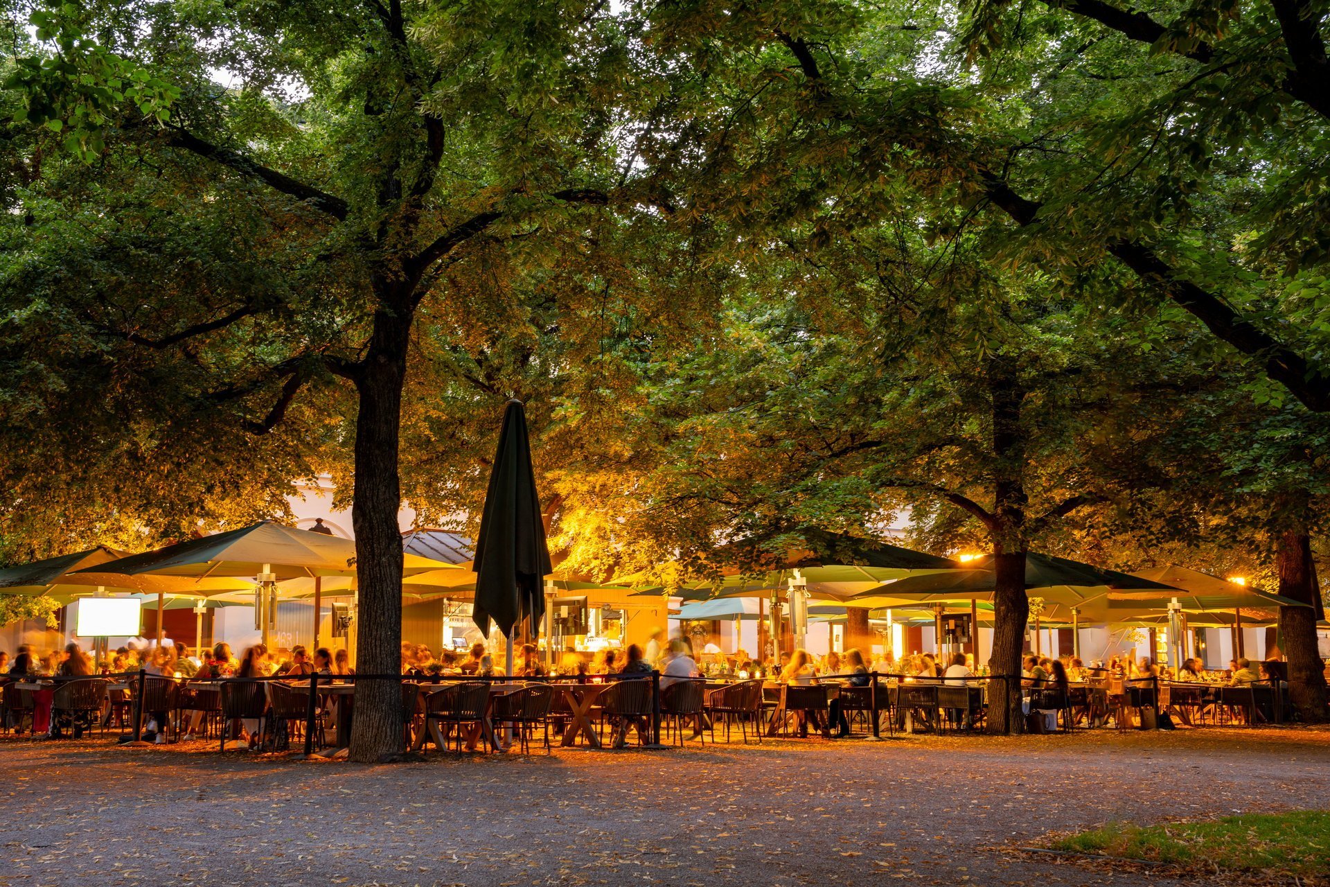 Biergarten mit Kastanienbäumen